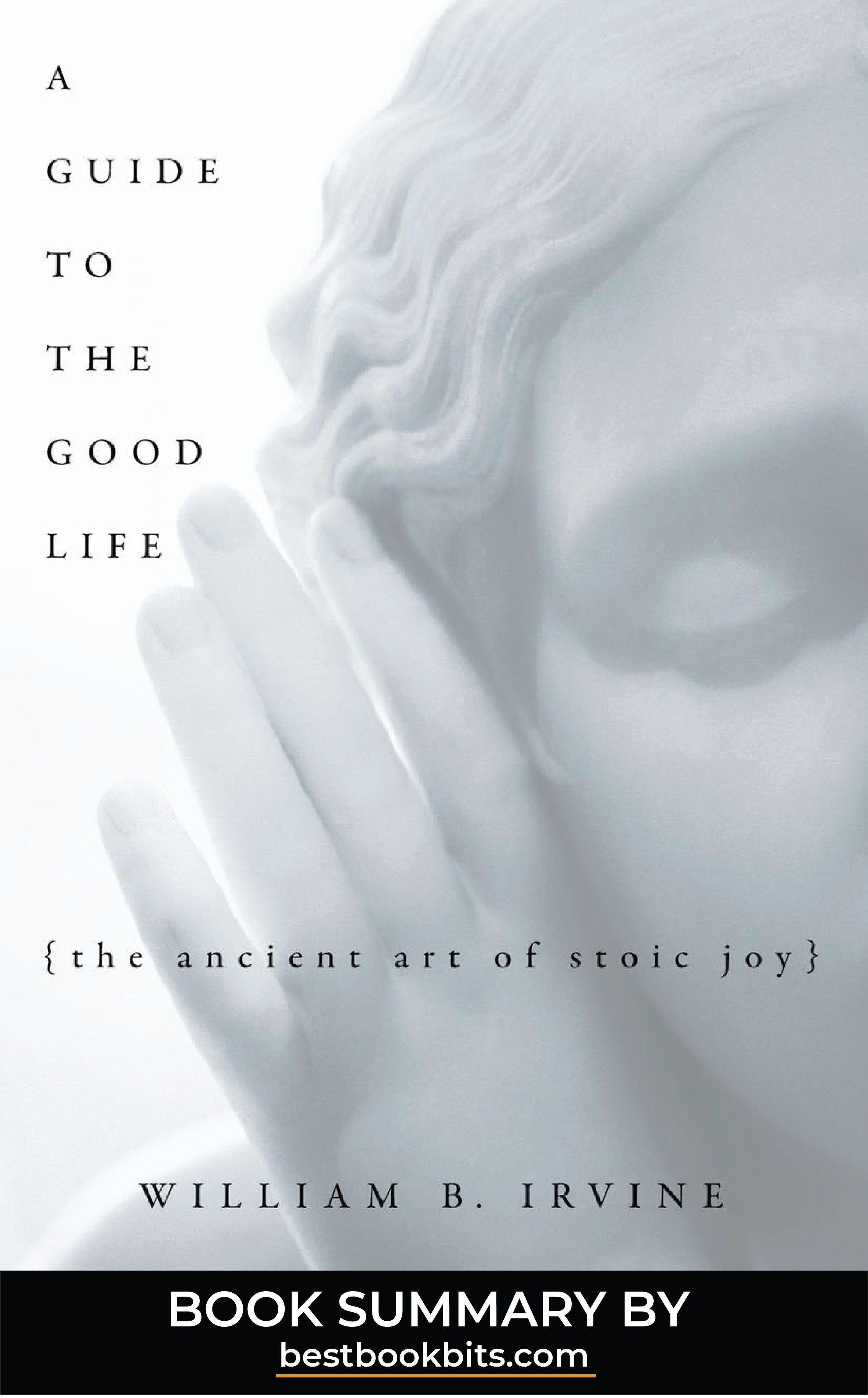 A Guide to the Good Life
